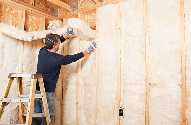 Professional Insulation Removal & Installation in Mont Alto, PA